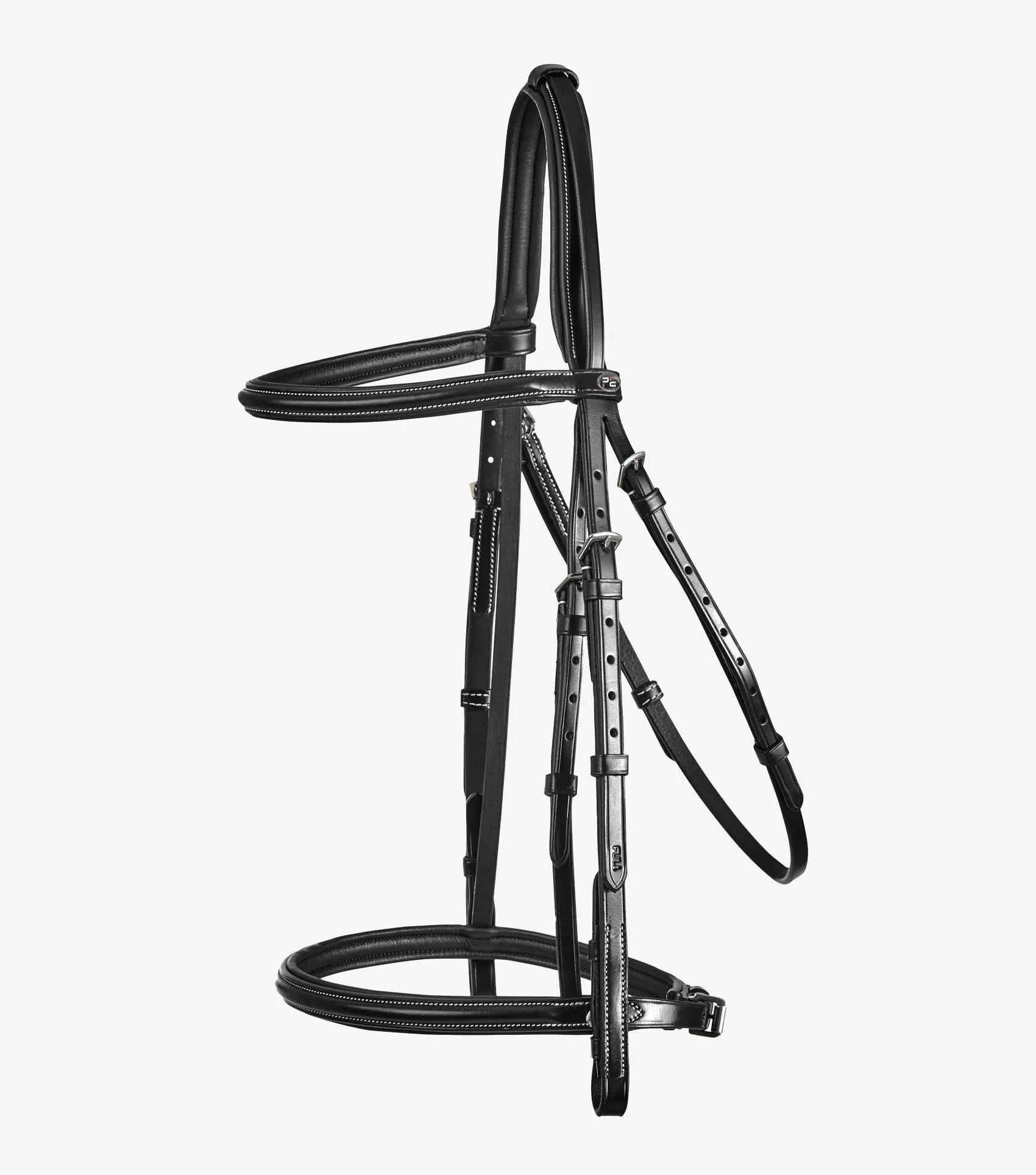 Mossimo Cavesson Bridle